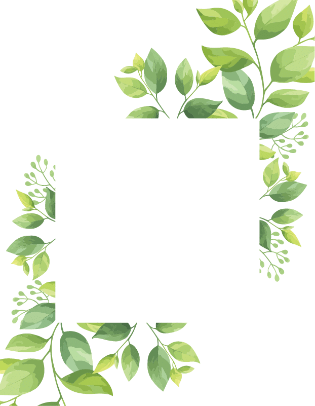 Green leaves frame template  Floral border  Vector illustration 