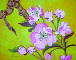 Robin Straub - Pear Blossoms