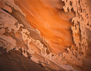Desert Lace