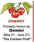 Gemini Astrological Sy