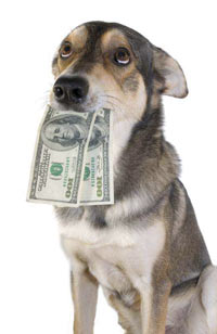 Dog with paper money in his mouth