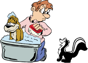 Graphic of man giving dog a bath while skunk watches
