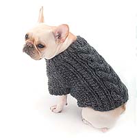 Gray knit Frenchie