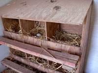 Picture of a chicken coup
