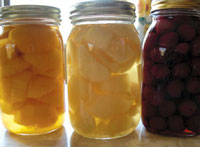 Fruit in mason jars